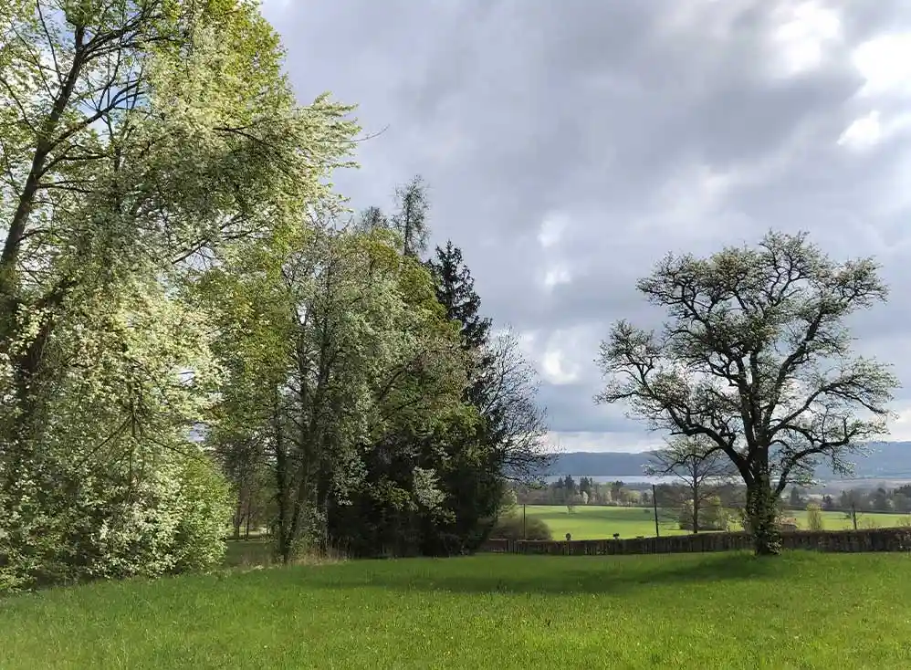 Blick zum Ammersee